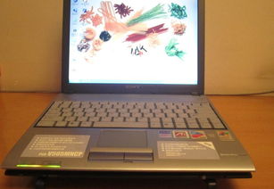 笔记本电脑与台式电脑通用麦克风选购指南 价格、厂家及网络图片一览